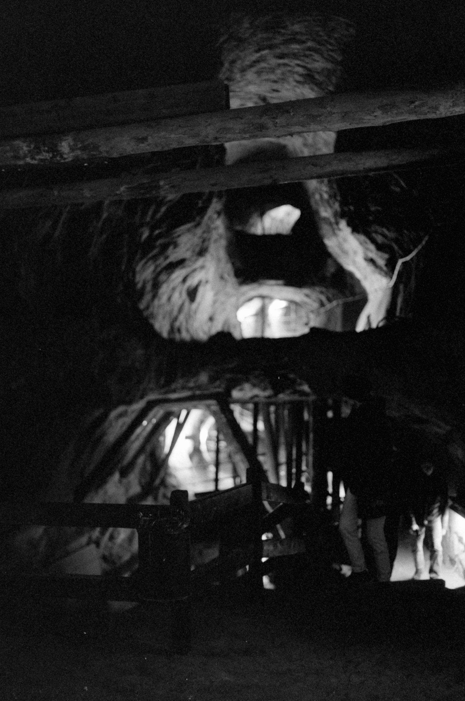 AHP F1994 11 008 sc250521 img31 NLP